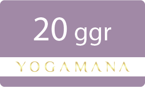 20 ggr