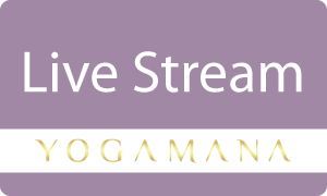 Live stream yoga