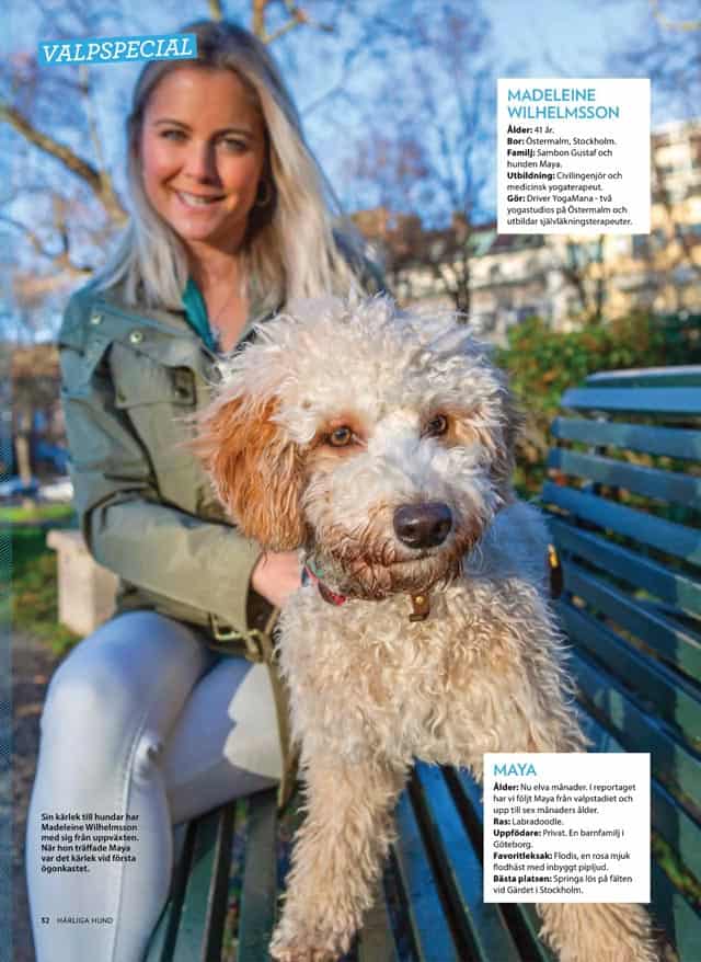 Yoga P stermalm Och I Vasastan I Stockholm YogaMana se Yoga P stermalm Och I Vasastan I Stockholm YogaMana se