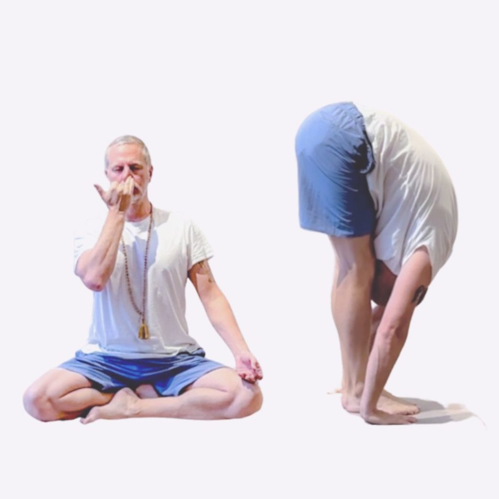 Sivananda Hatha Yoga