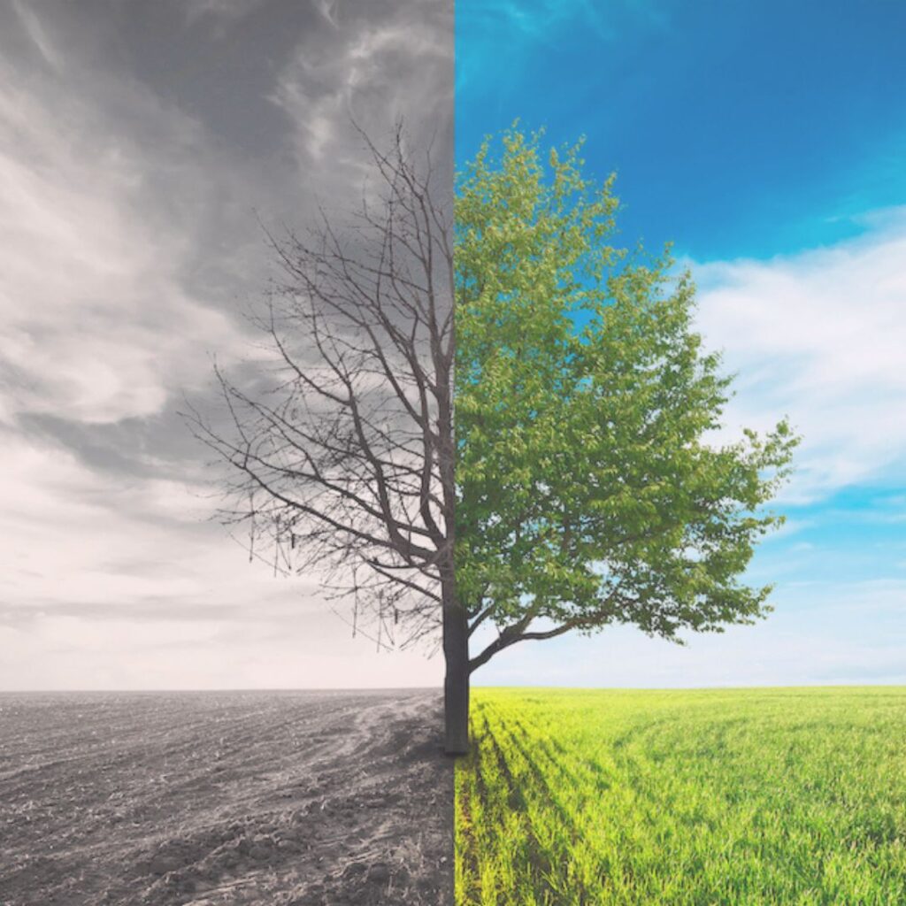 Mindfulness i vardagen – 5 tillfällen som kan förändra ditt liv